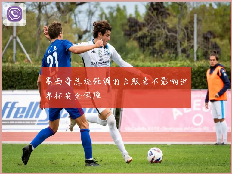墨西哥总统强调打击贩毒不影响世界杯安全保障