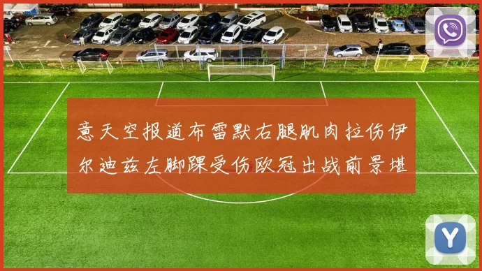 意天空报道布雷默右腿肌肉拉伤伊尔迪兹左脚踝受伤欧冠出战前景堪忧
