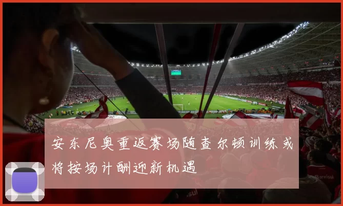 安东尼奥重返赛场随查尔顿训练或将按场计酬迎新机遇