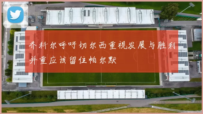 乔科尔呼吁切尔西重视发展与胜利并重应该留住帕尔默